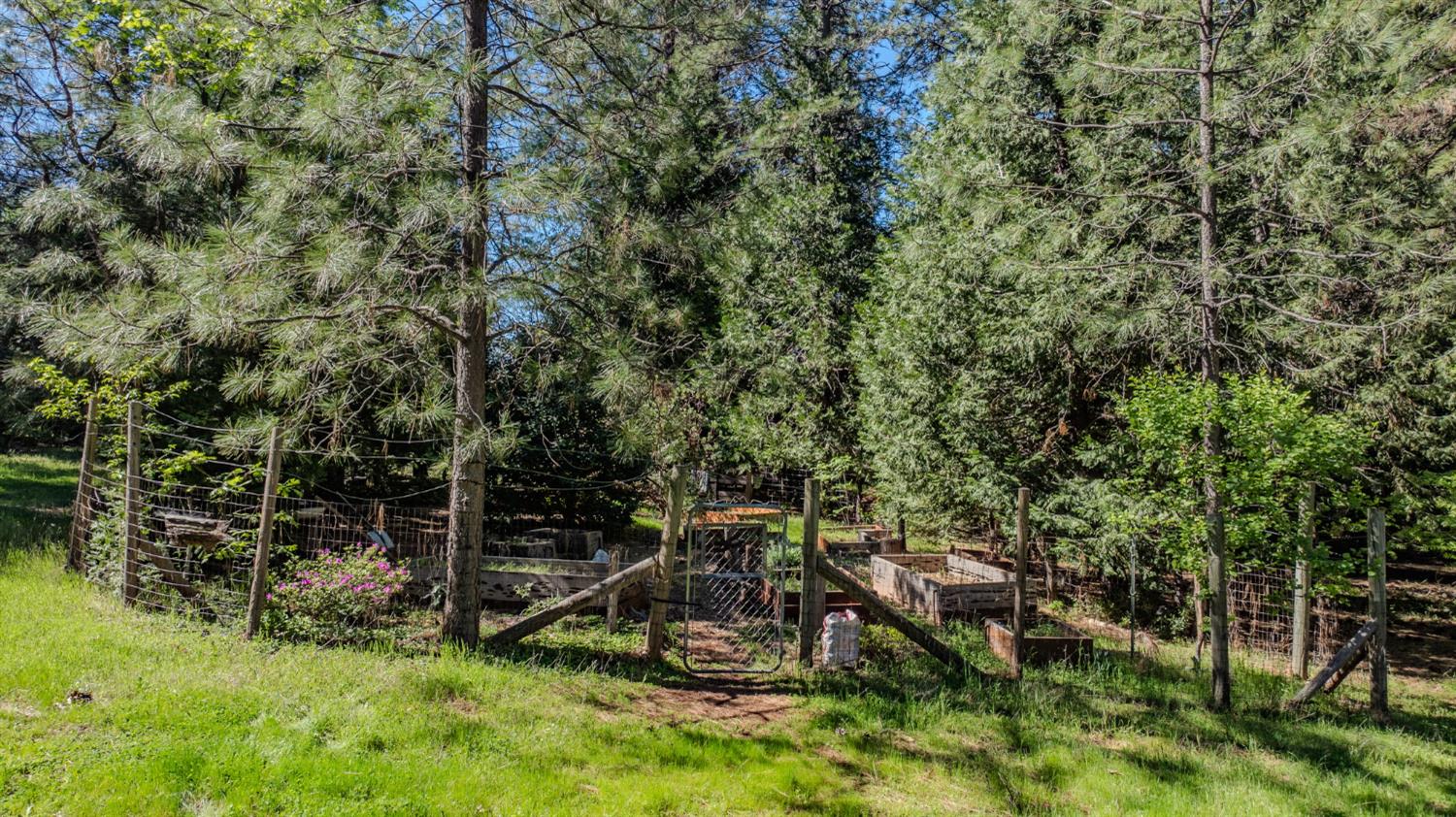 22401 Shake Ridge Road