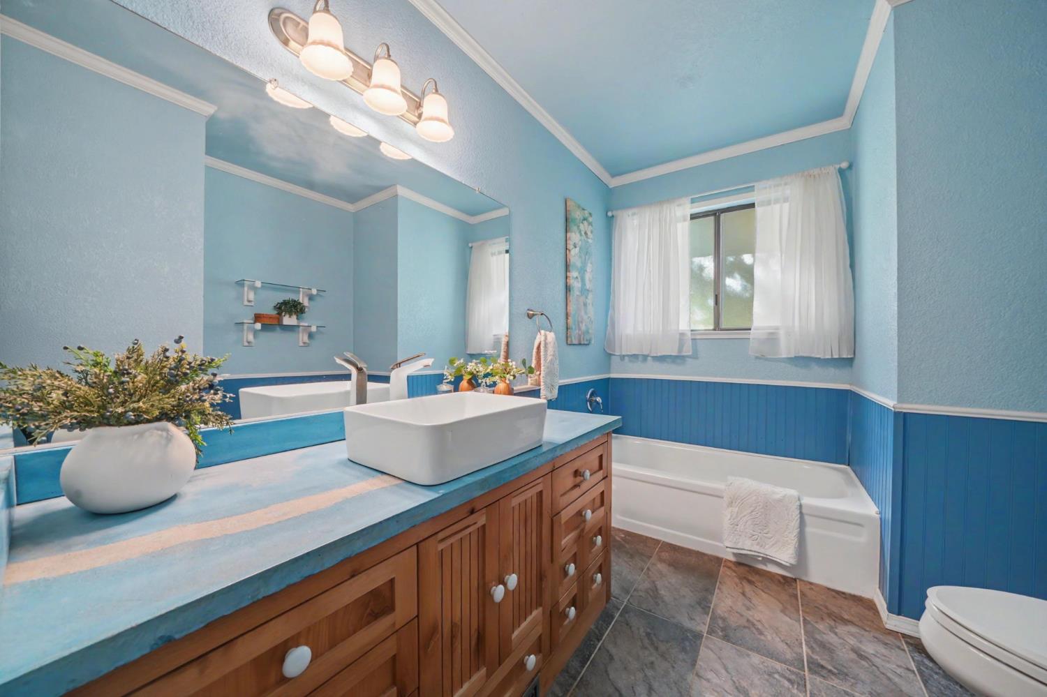 22401 Shake Ridge Road