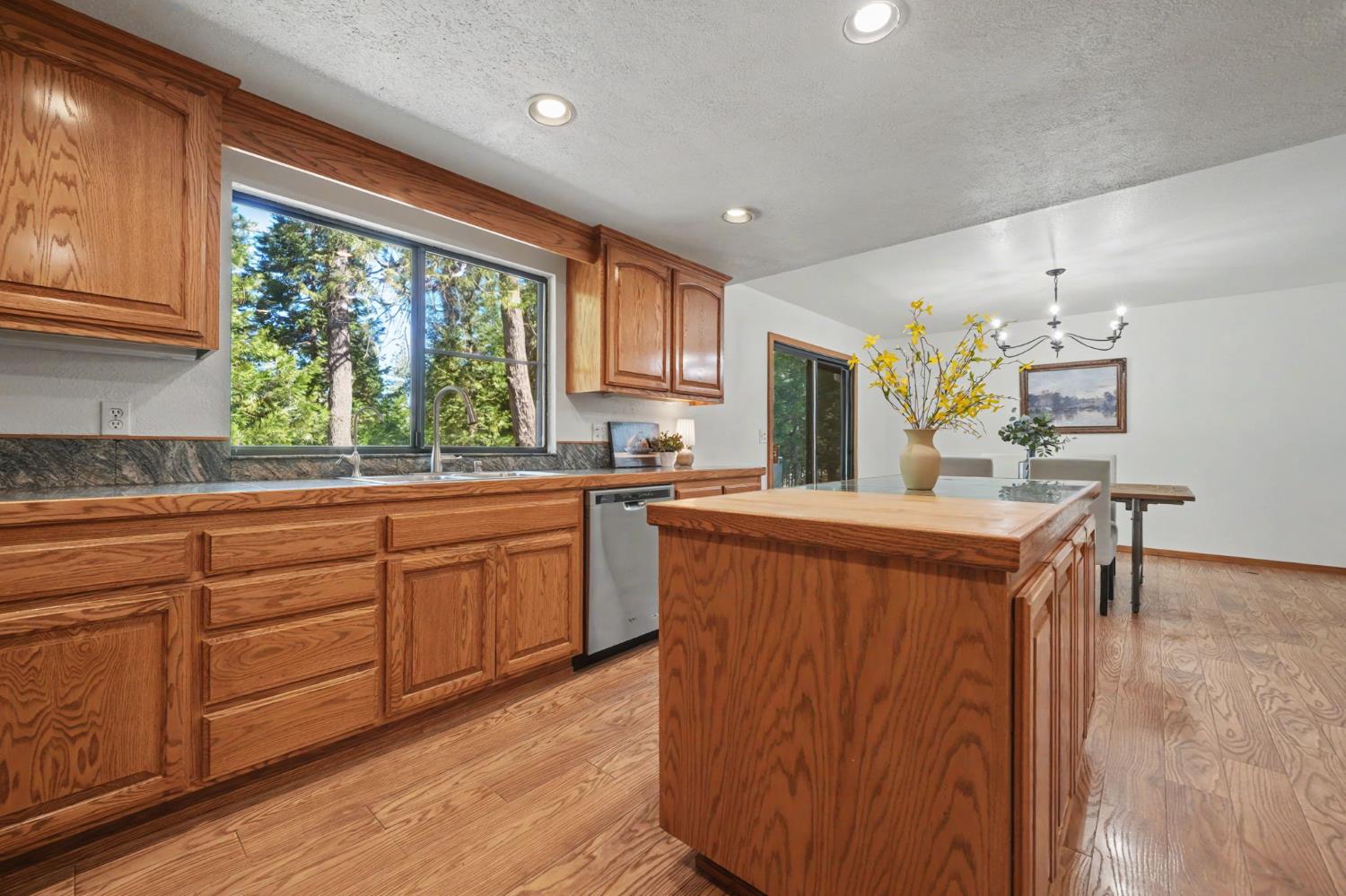 22401 Shake Ridge Road