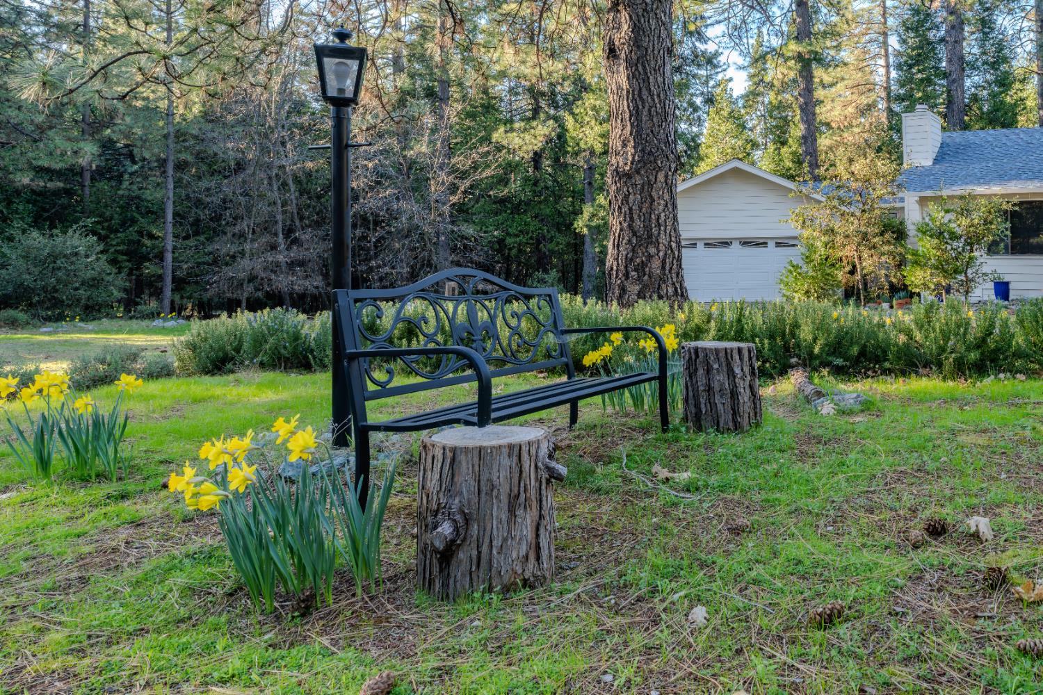 22401 Shake Ridge Road