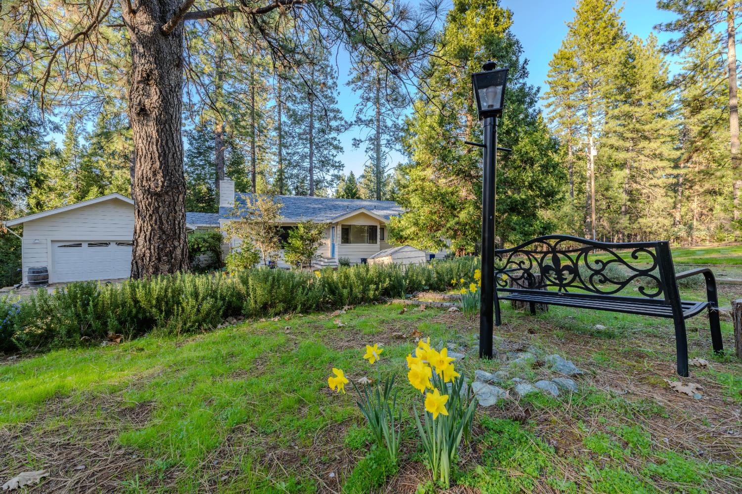 22401 Shake Ridge Road