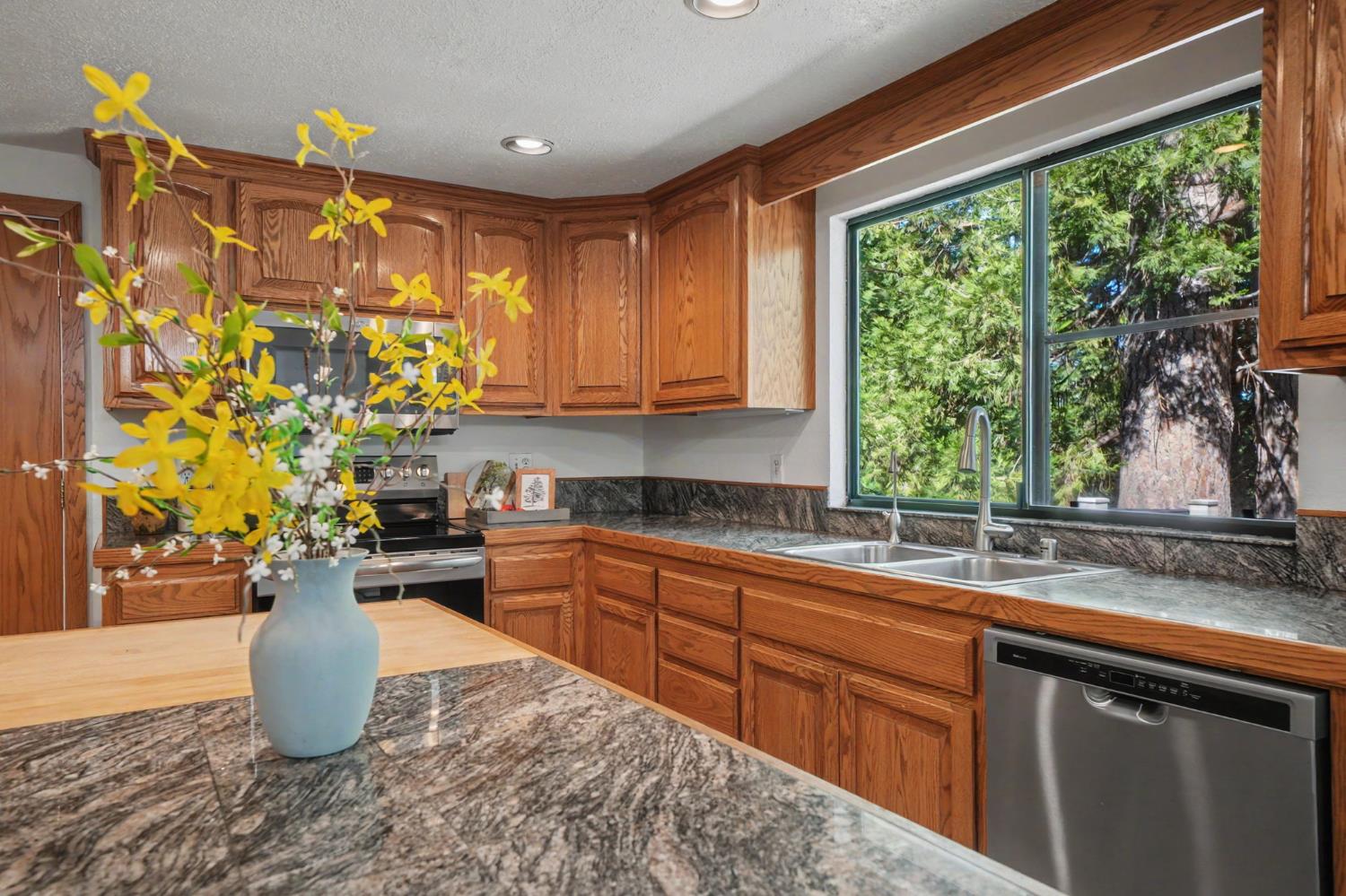 22401 Shake Ridge Road