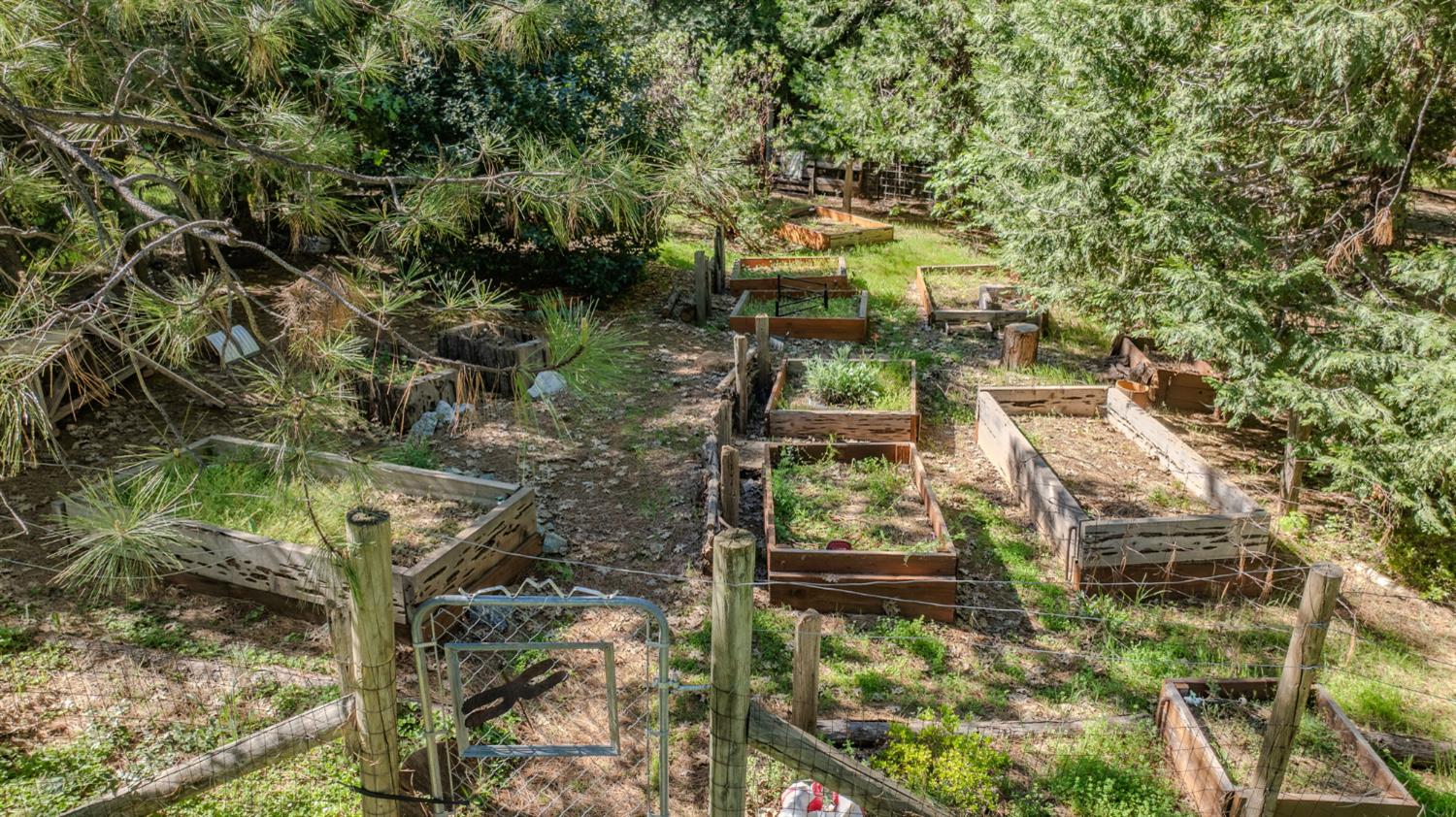 22401 Shake Ridge Road