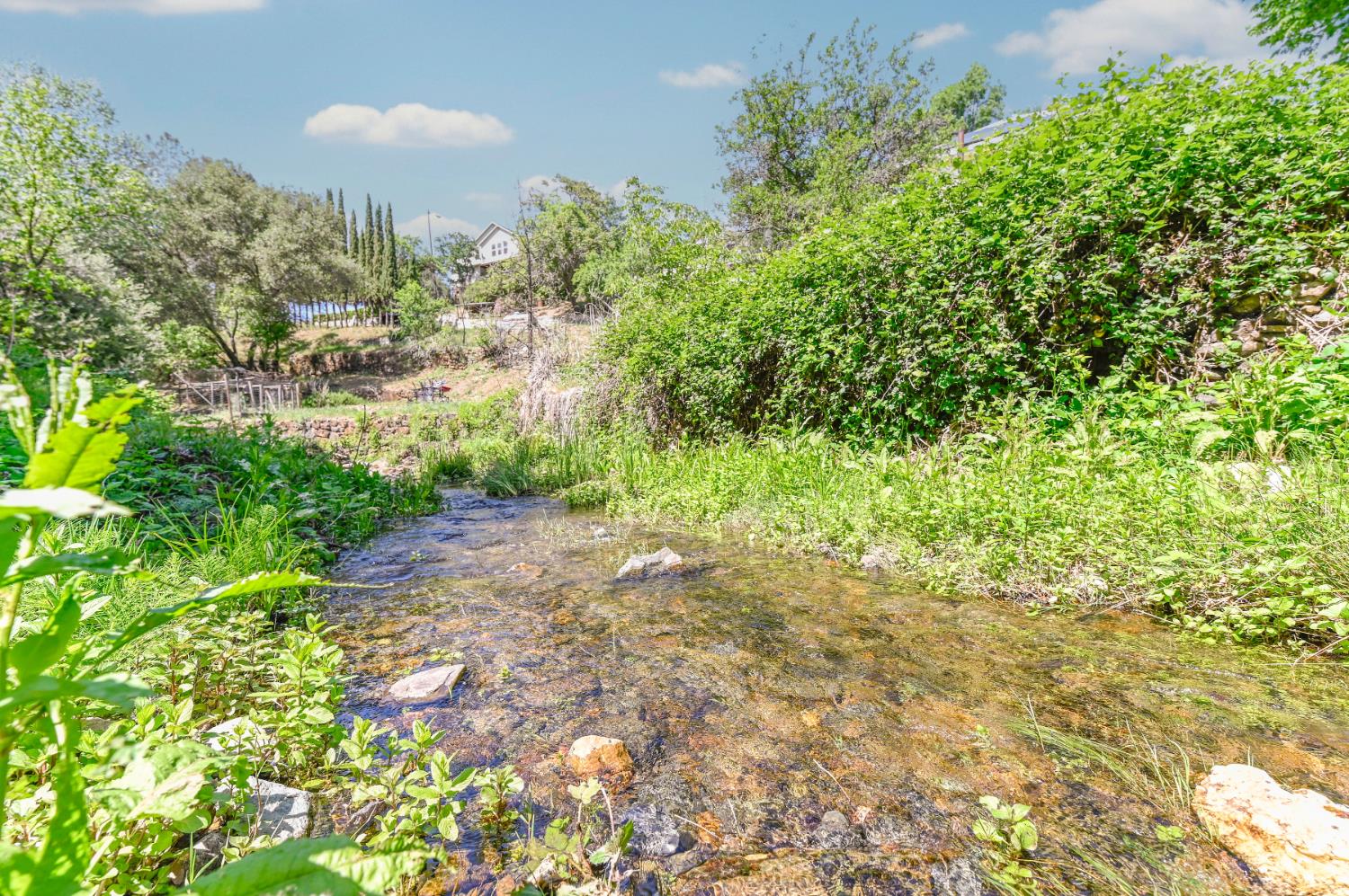 10621 Fleehart Street