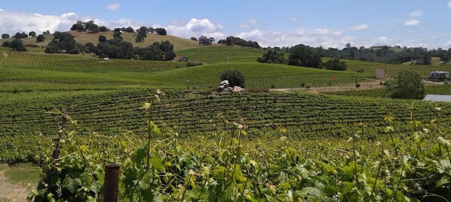 19900 Shenandoah School Road