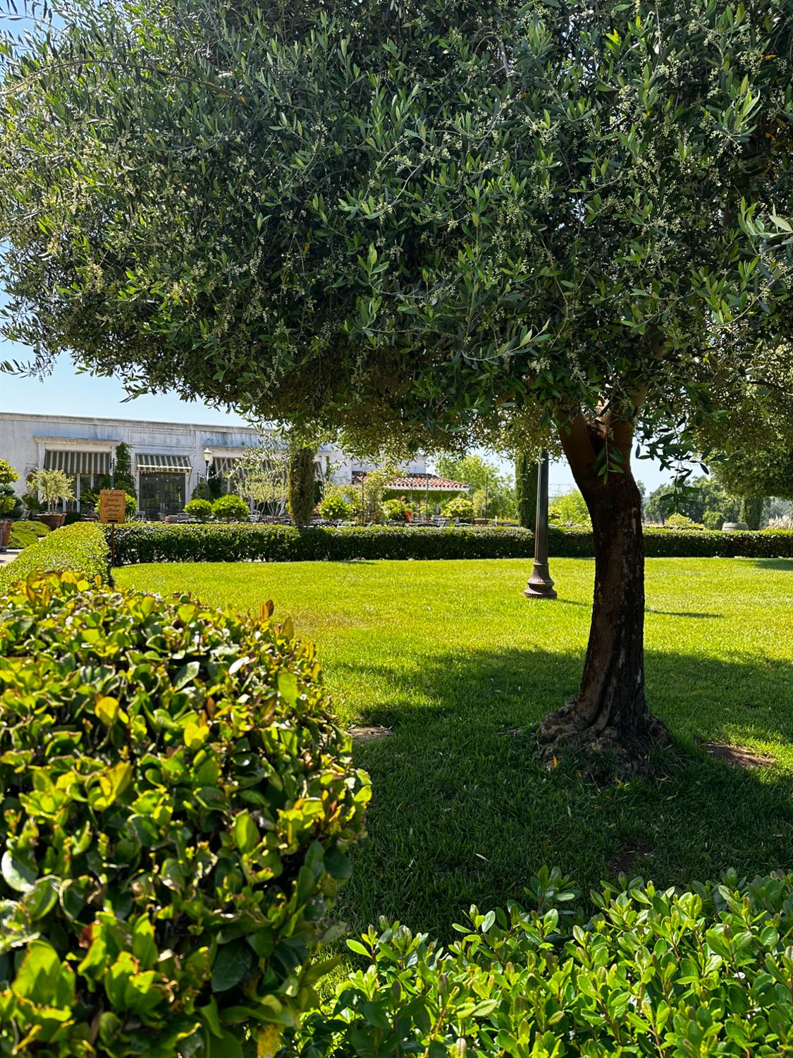 19900 Shenandoah School Road