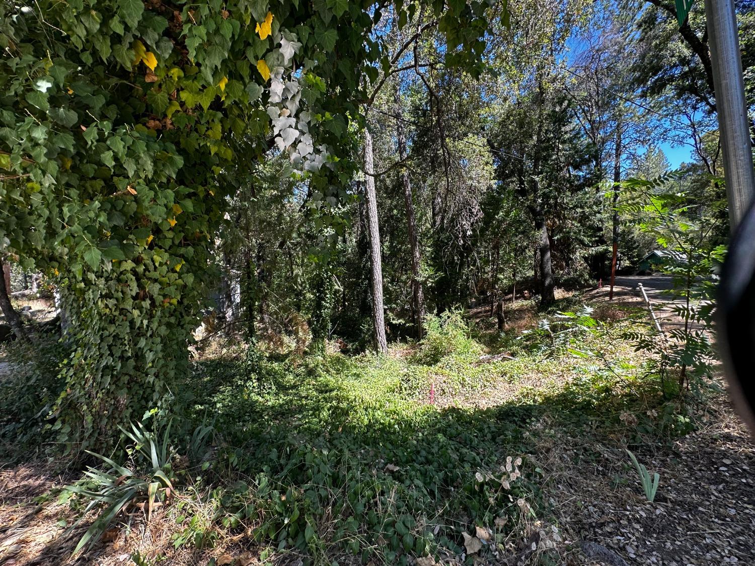 14745 River Trail