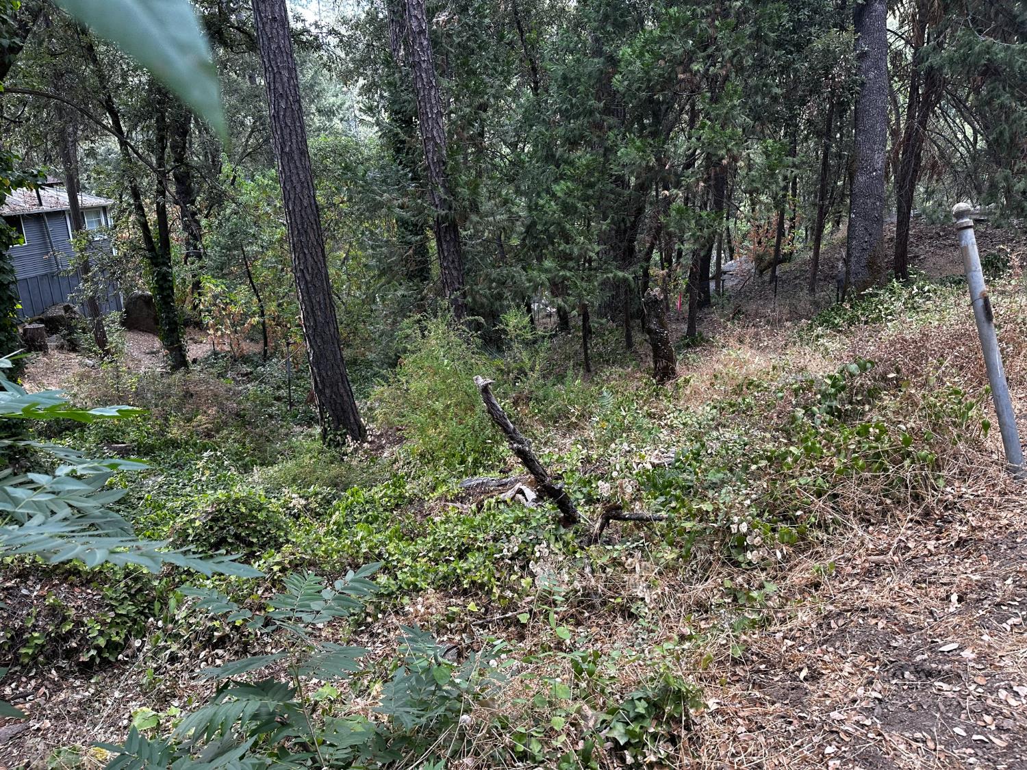 14745 River Trail