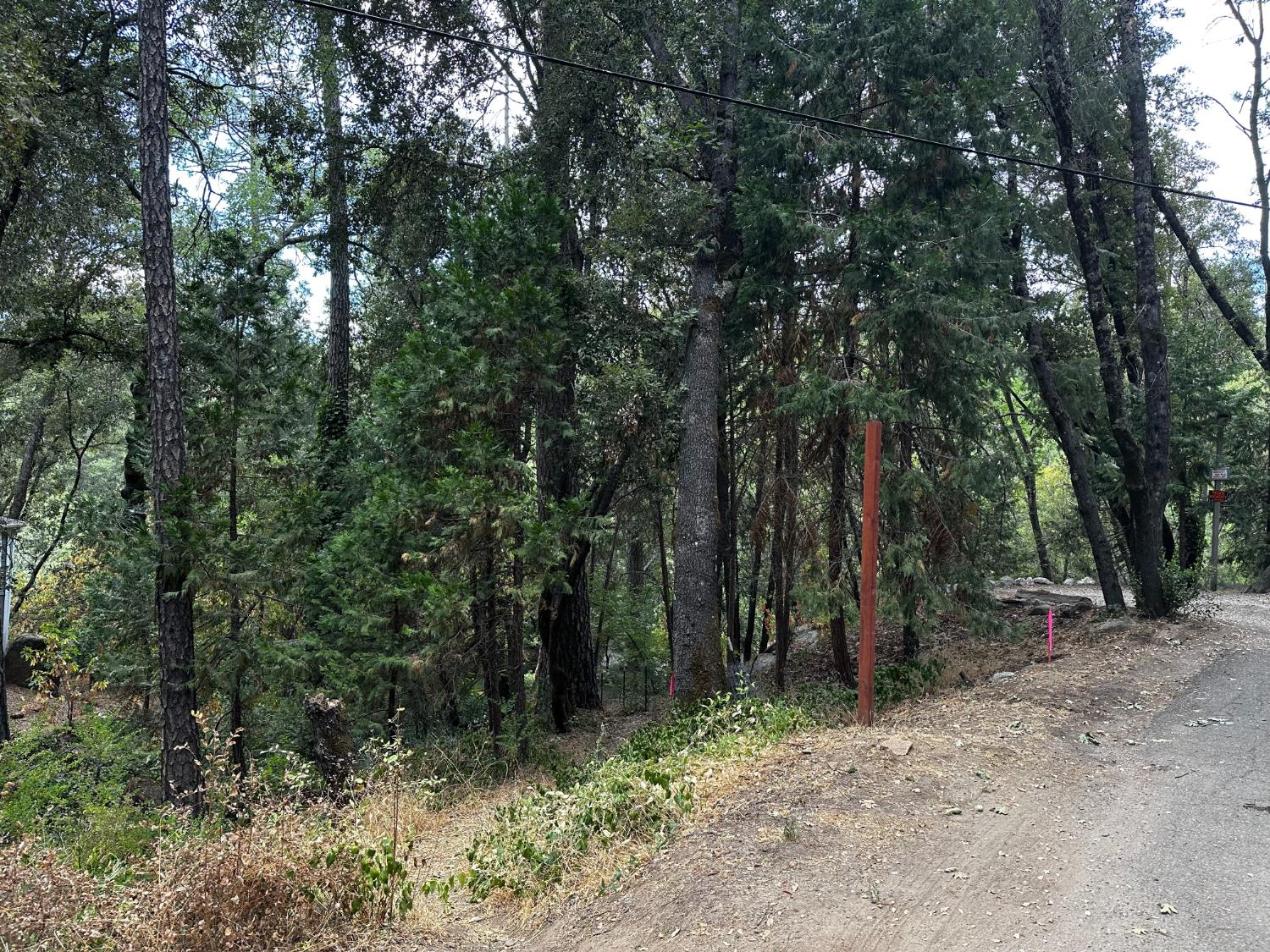14745 River Trail