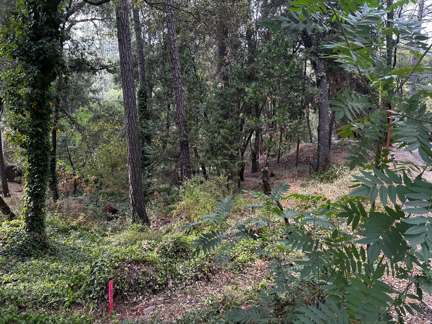14745 River Trail