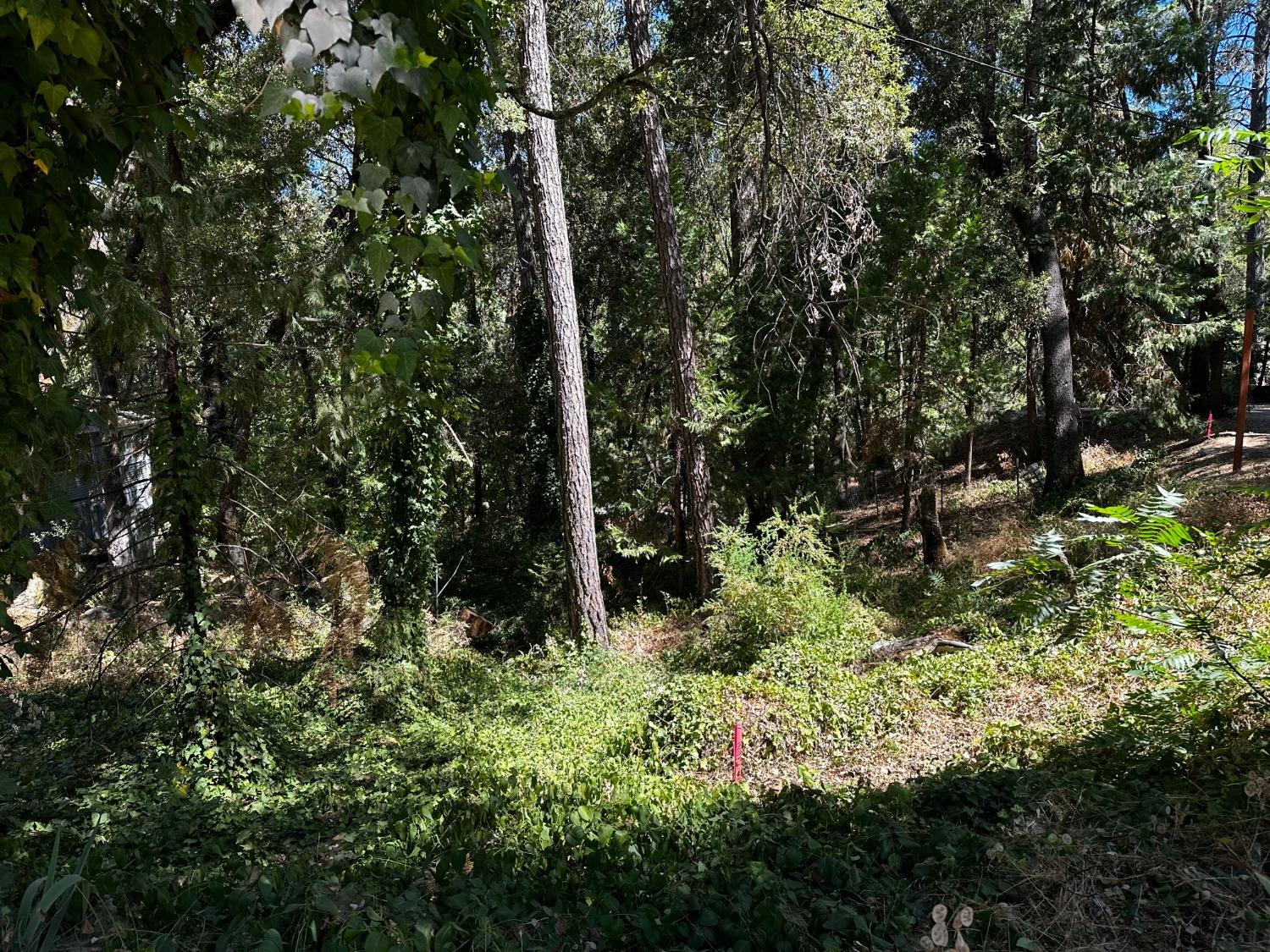 14745 River Trail