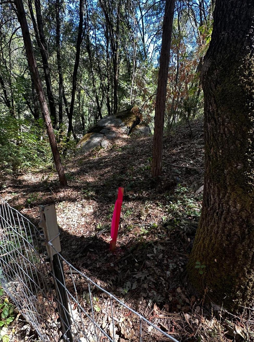 14745 River Trail