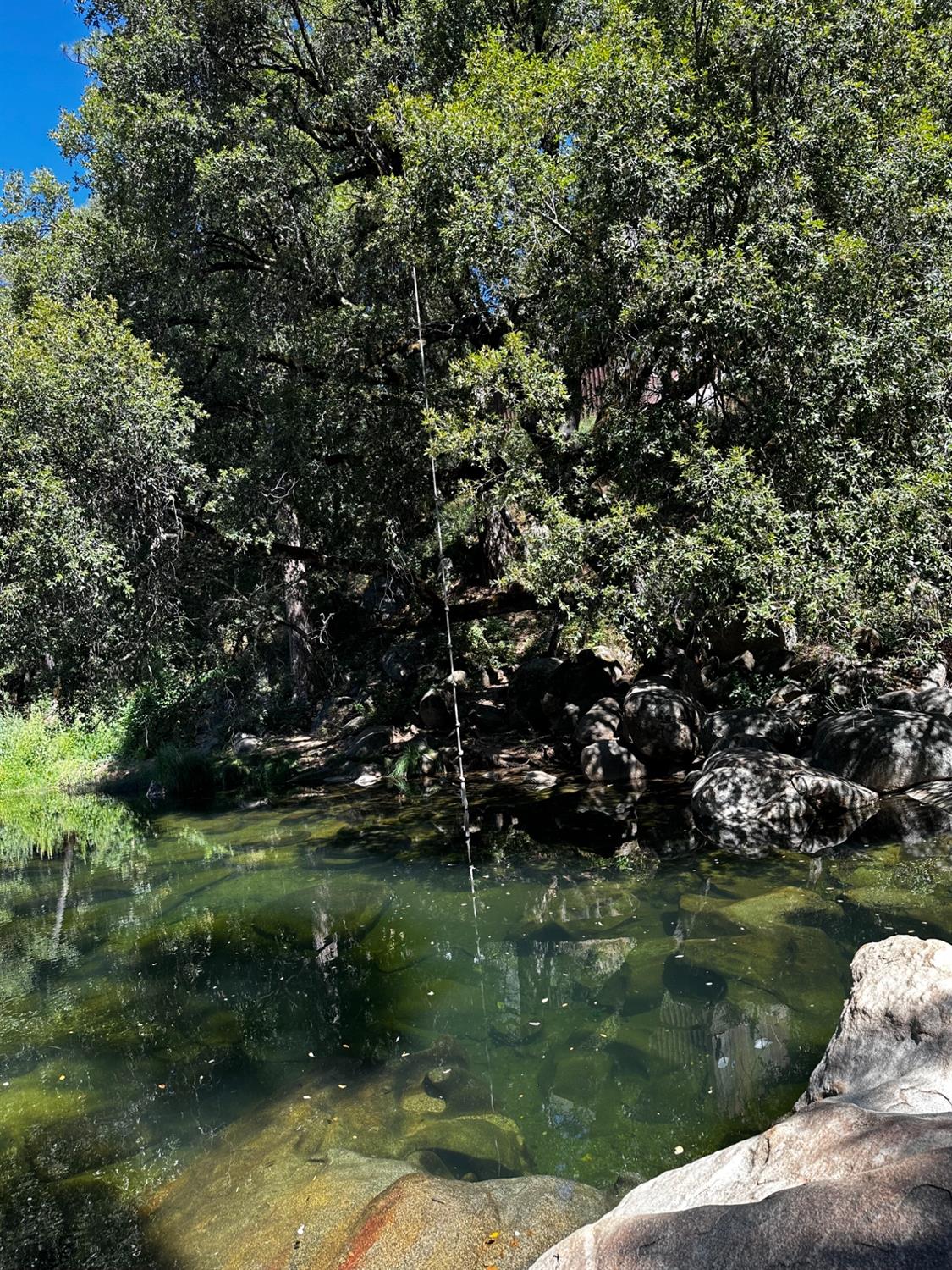 14745 River Trail