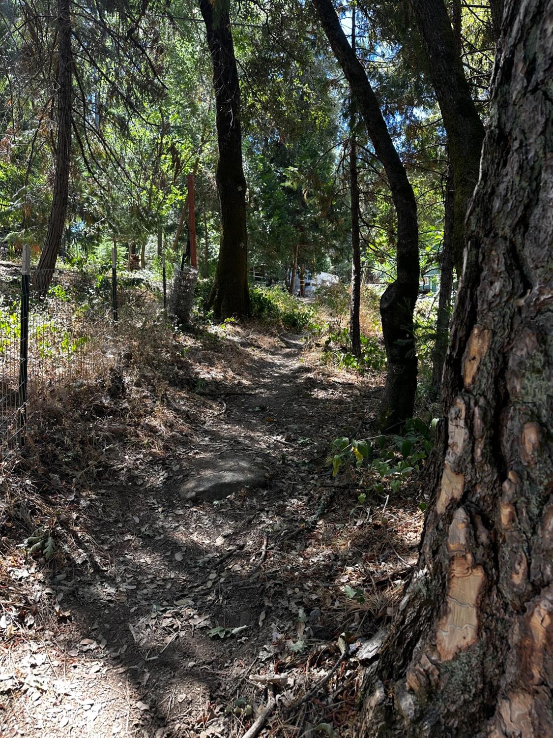 14745 River Trail