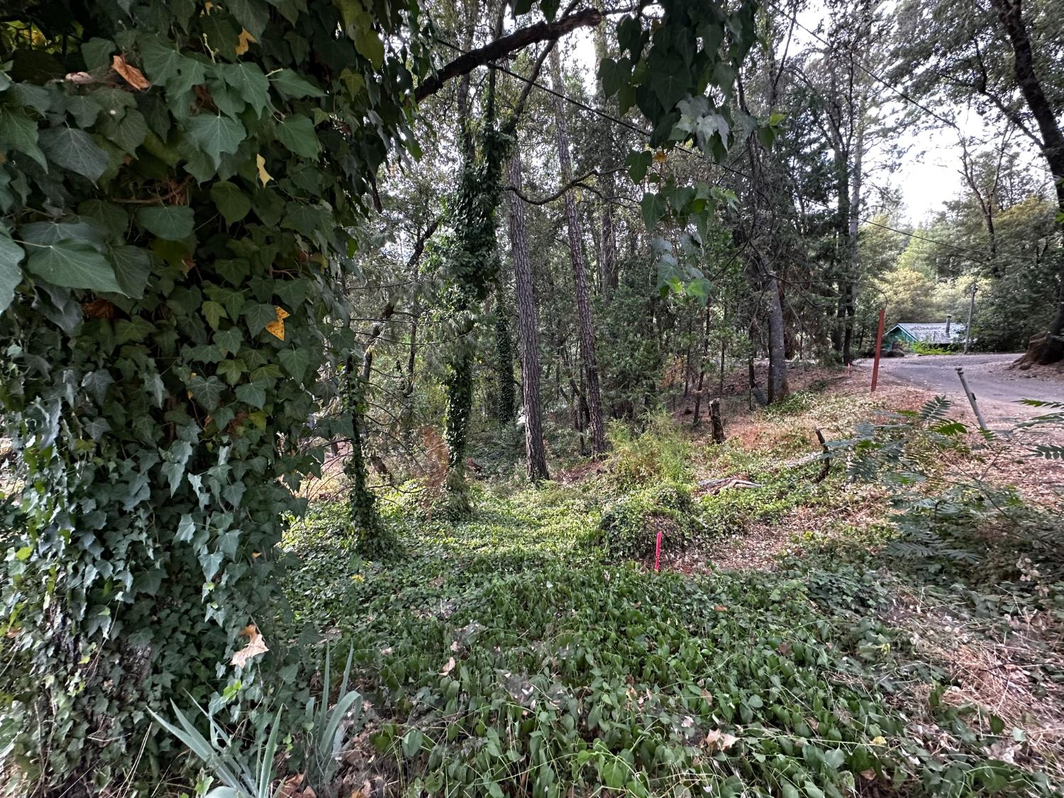 14745 River Trail
