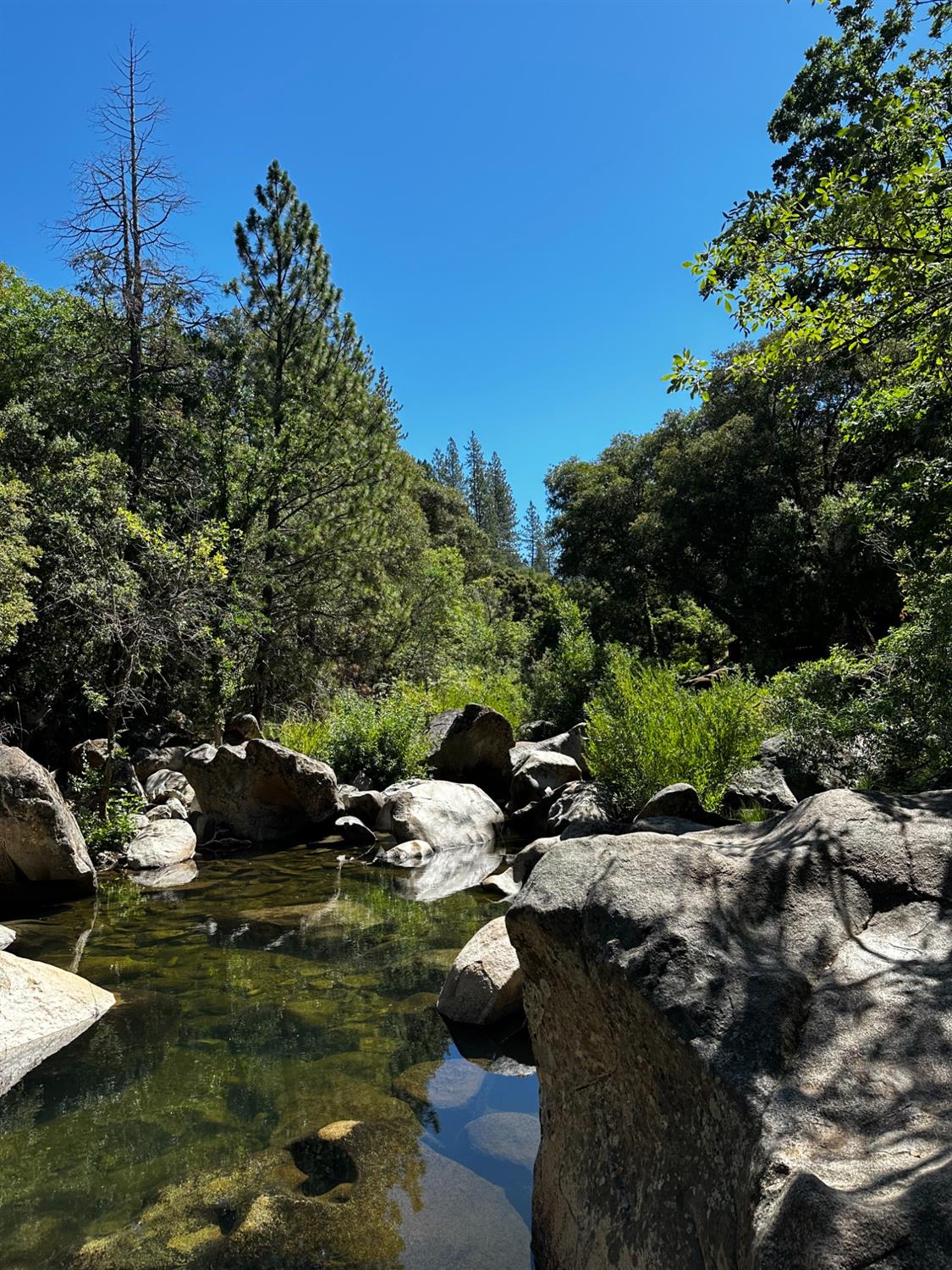 14745 River Trail