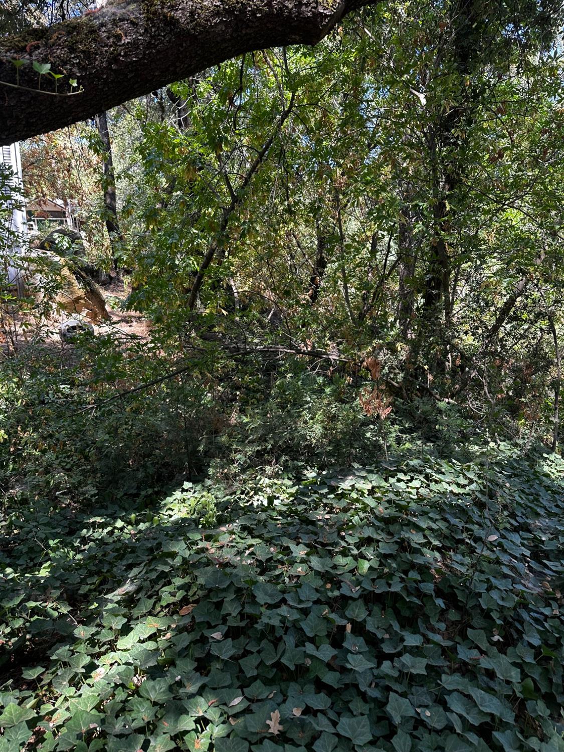 14745 River Trail