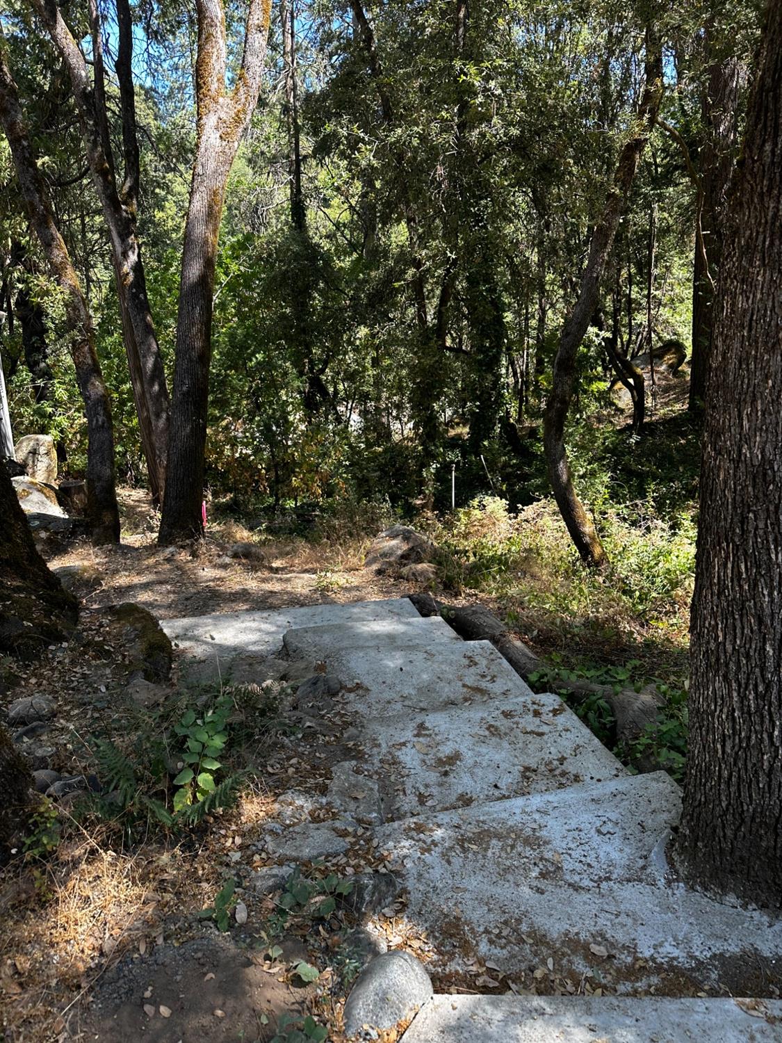 14745 River Trail