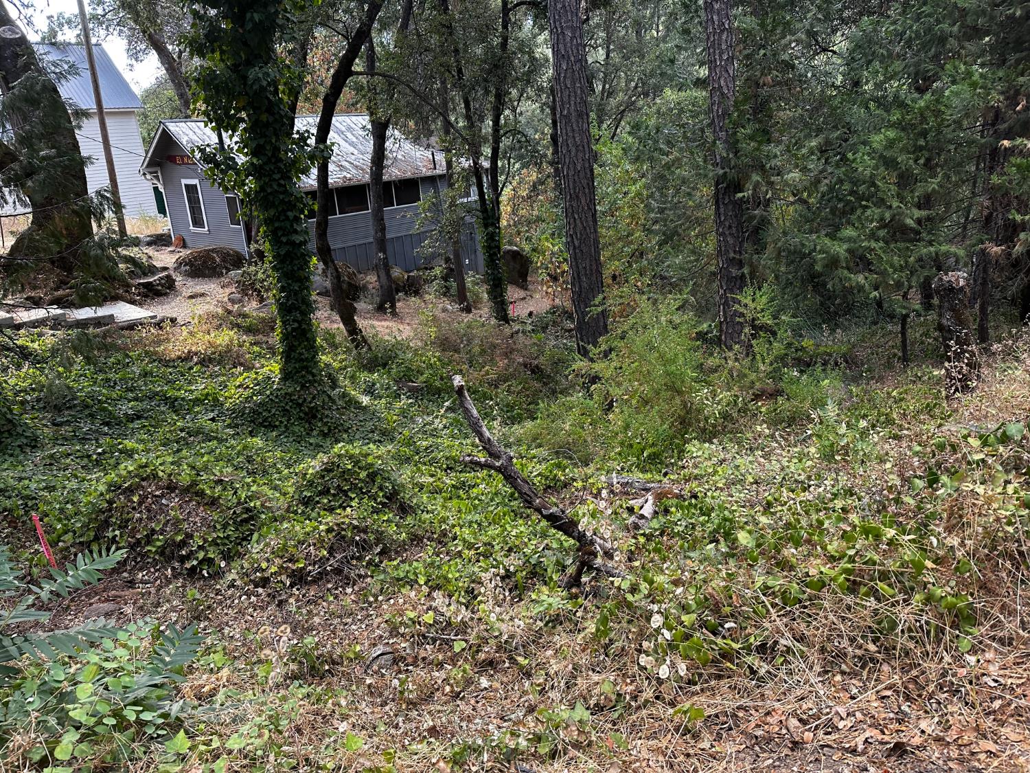 14745 River Trail
