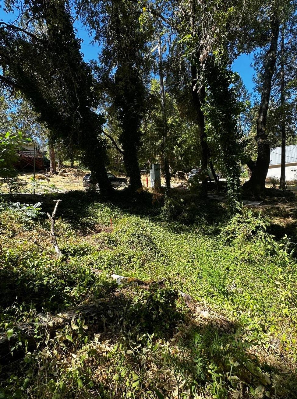 14745 River Trail