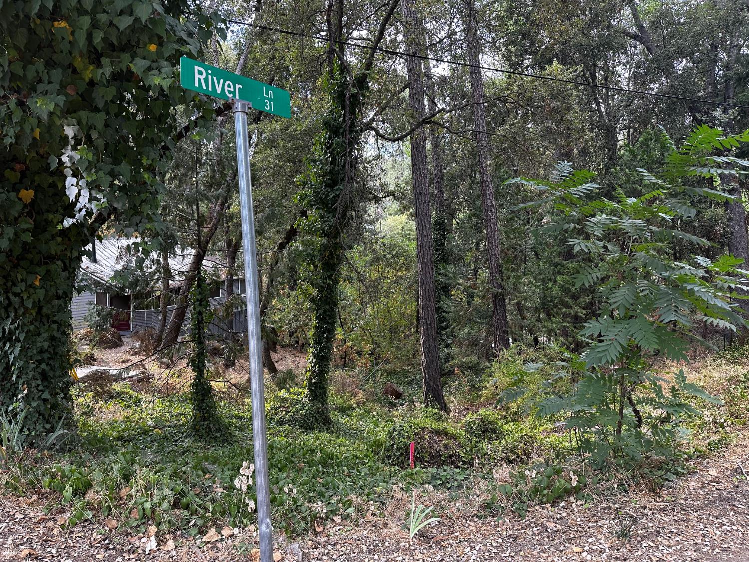 14745 River Trail