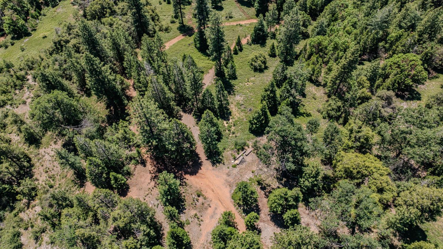 25755 State Highway 88