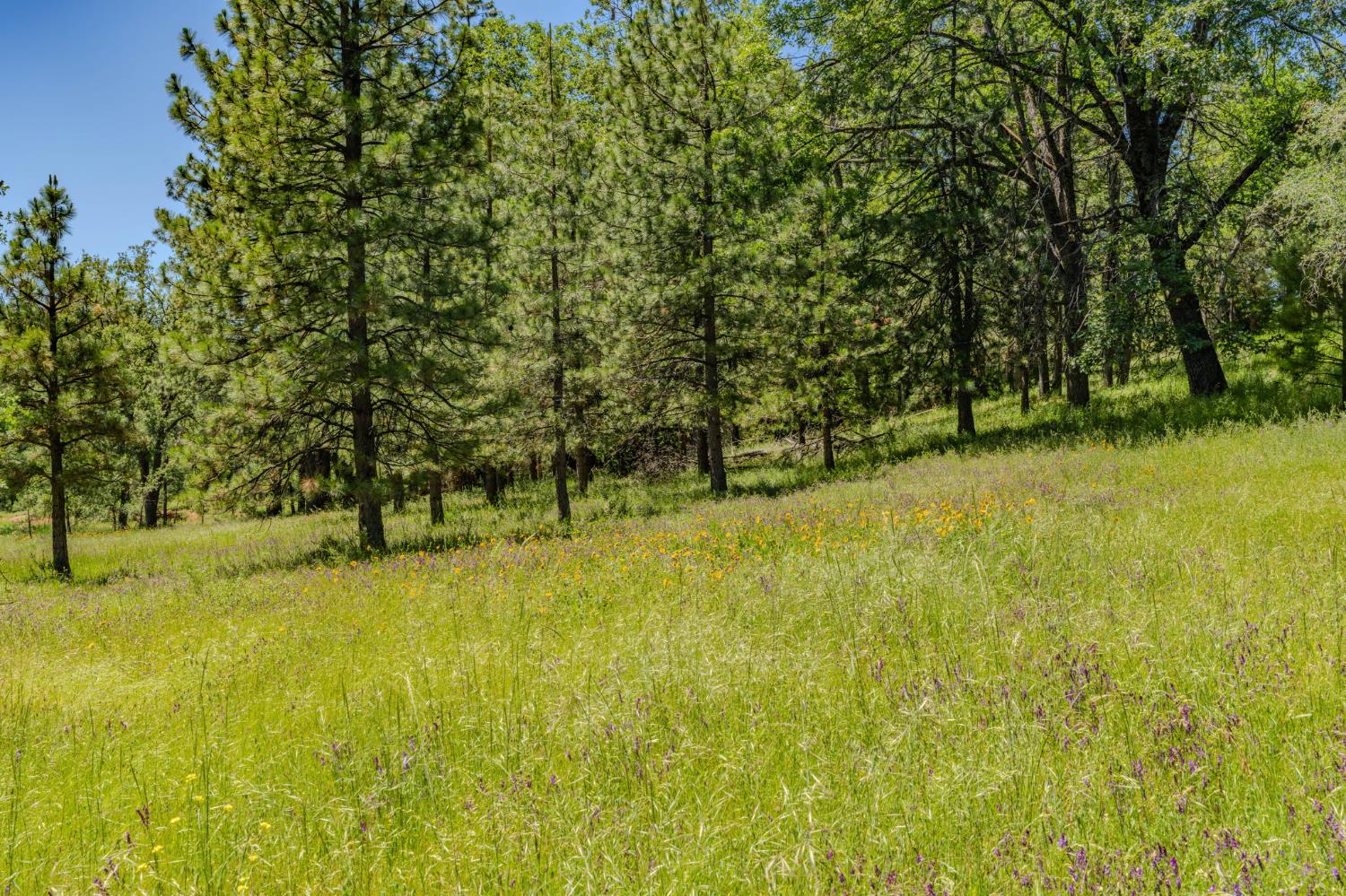 25755 State Highway 88