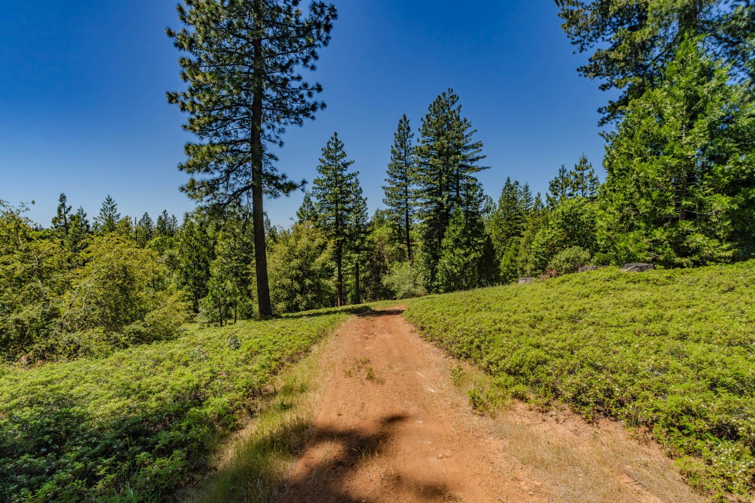 25755 State Highway 88