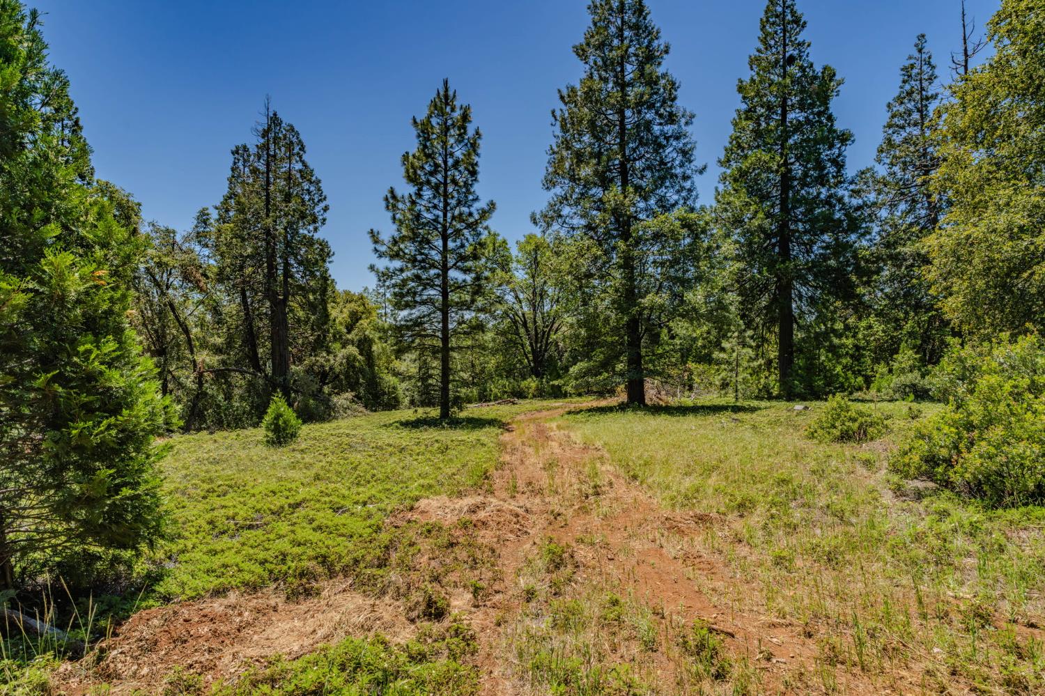 25755 State Highway 88