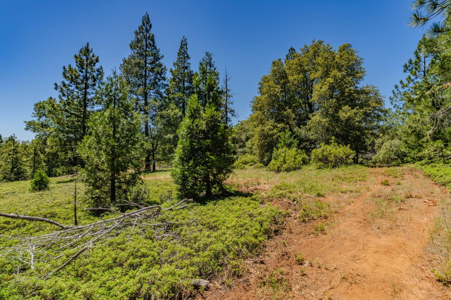 25755 State Highway 88