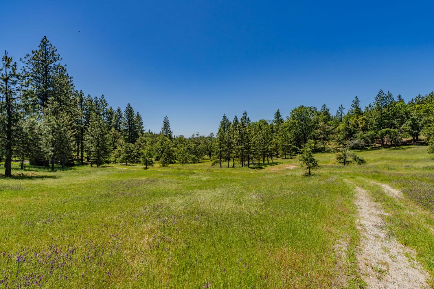 25755 State Highway 88