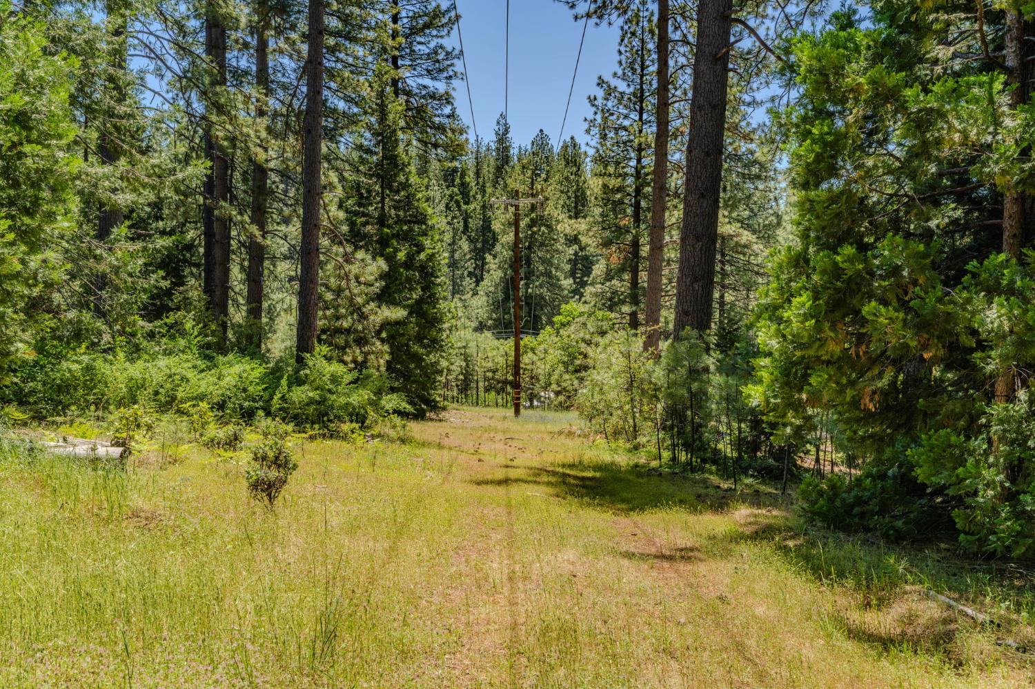25755 State Highway 88