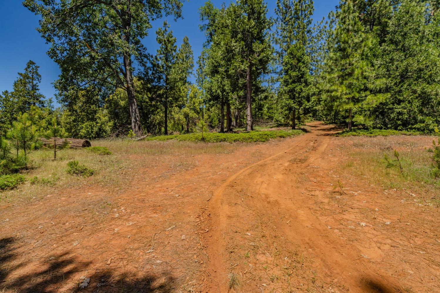 25755 State Highway 88