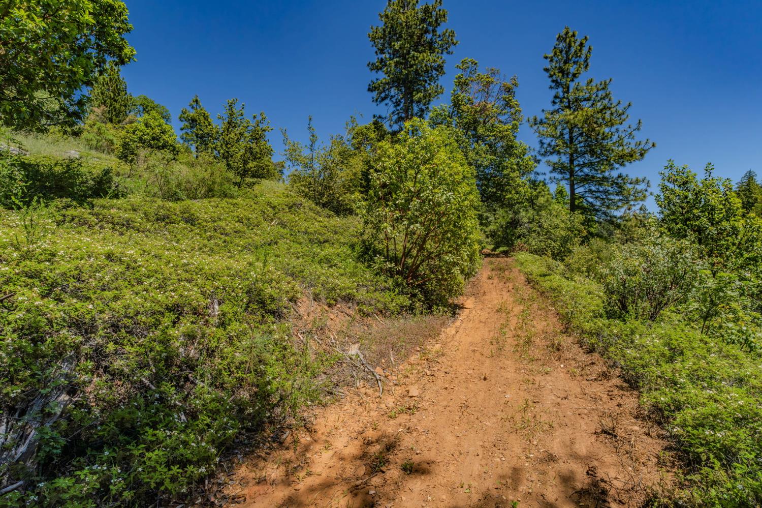 25755 State Highway 88
