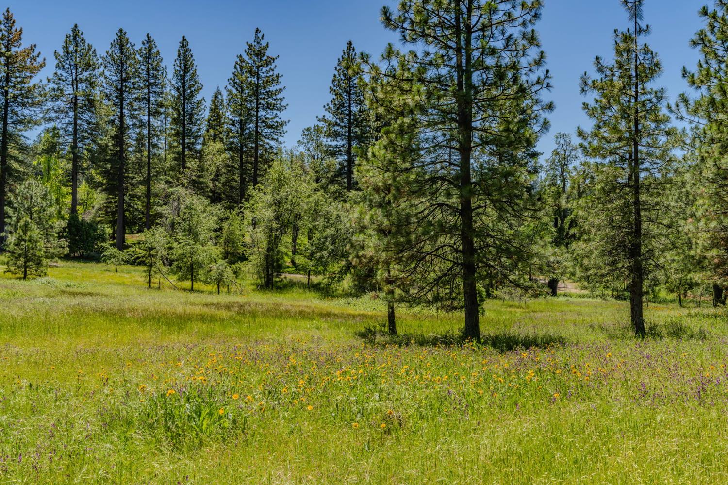 25755 State Highway 88