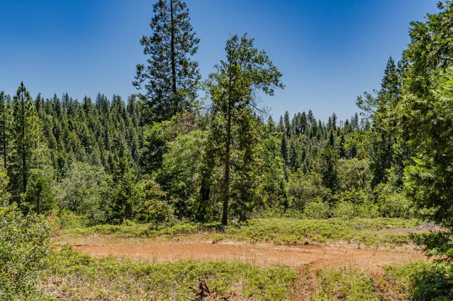 25755 State Highway 88