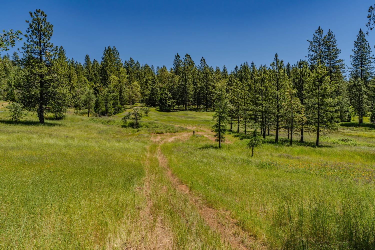 25755 State Highway 88