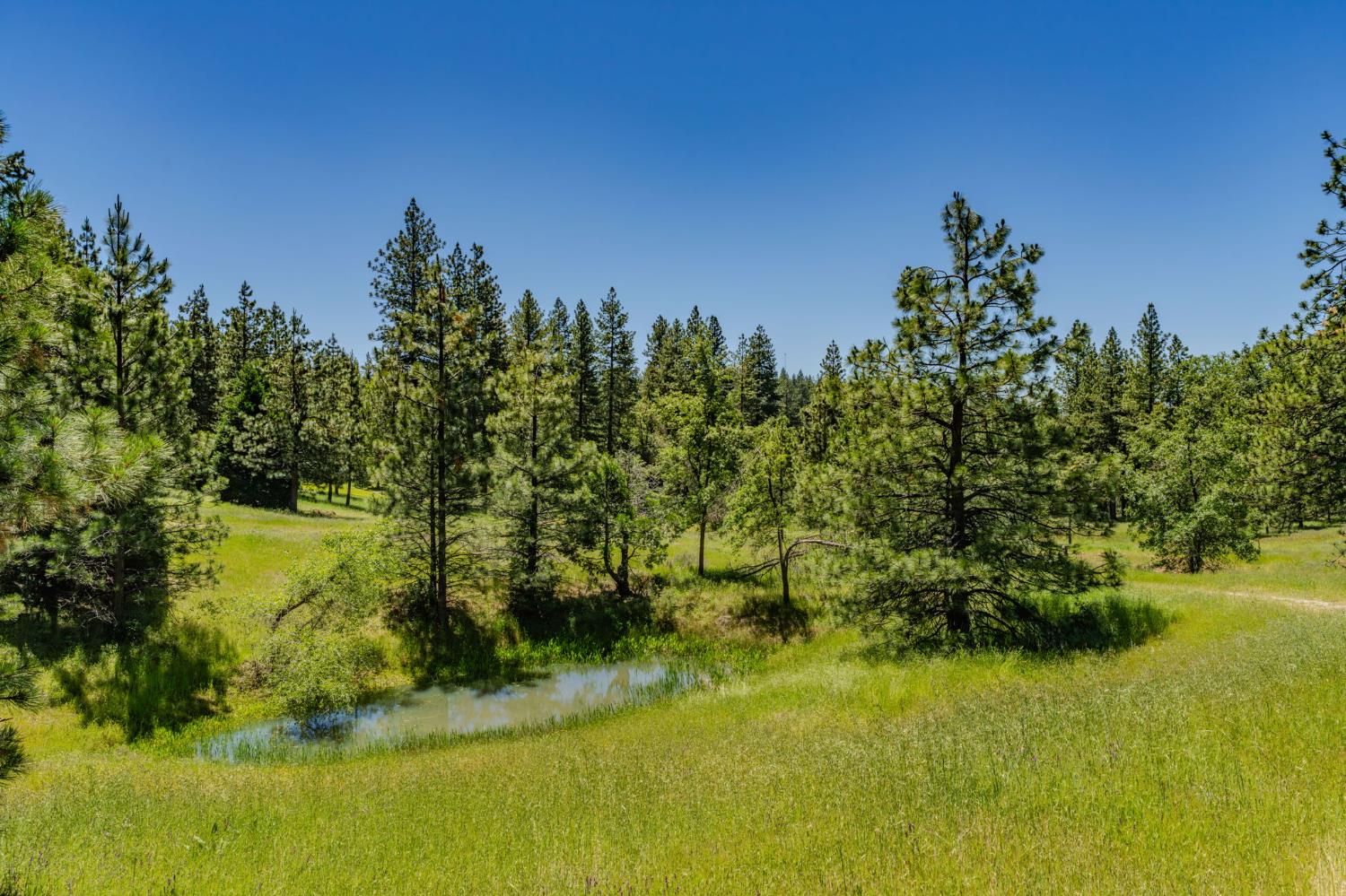25755 State Highway 88