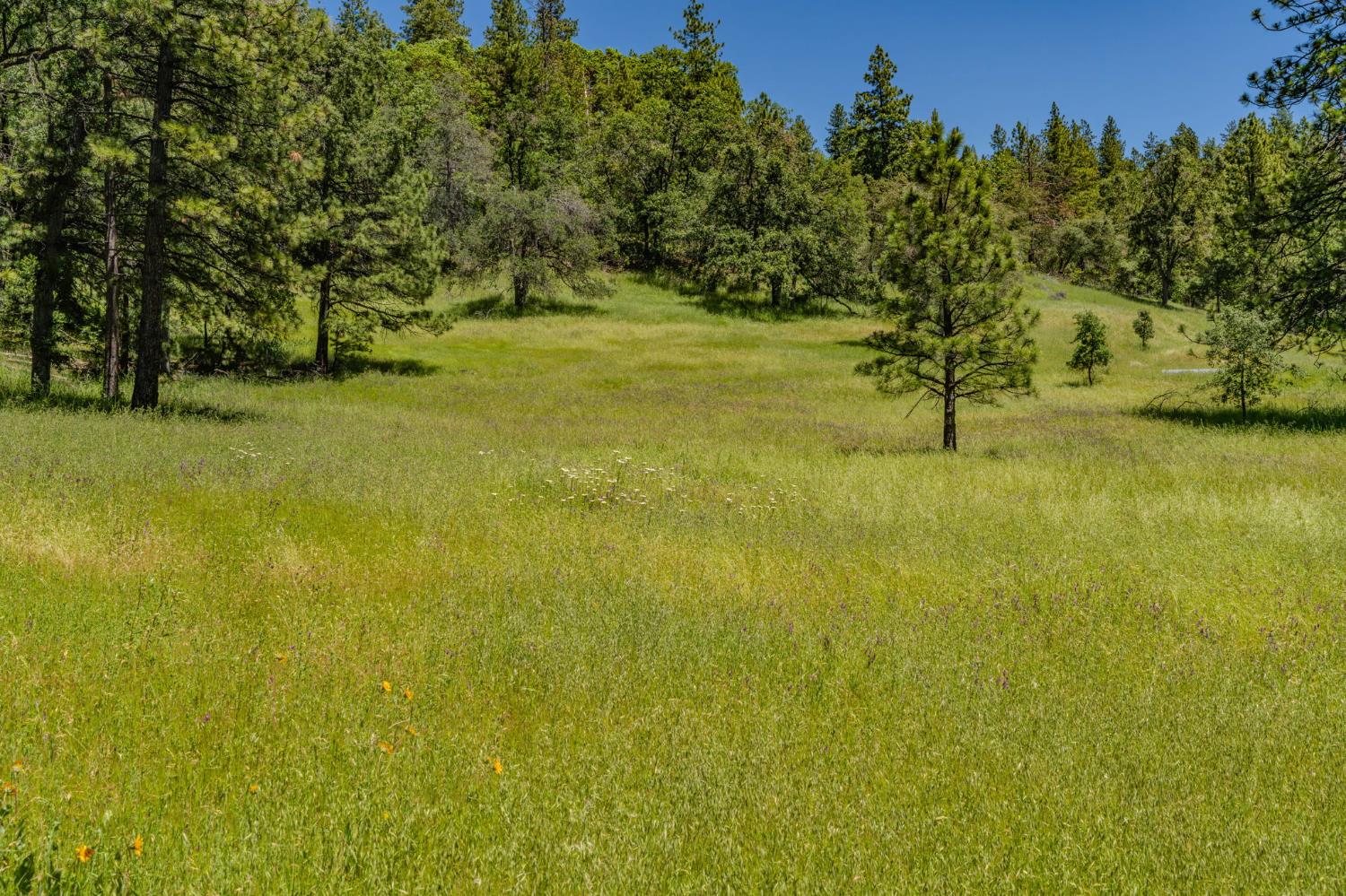 25755 State Highway 88