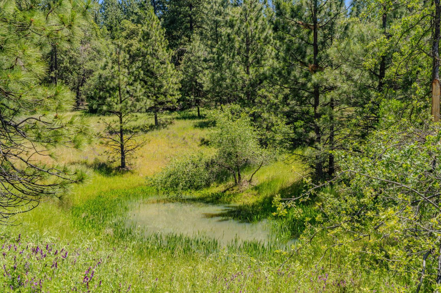 25755 State Highway 88