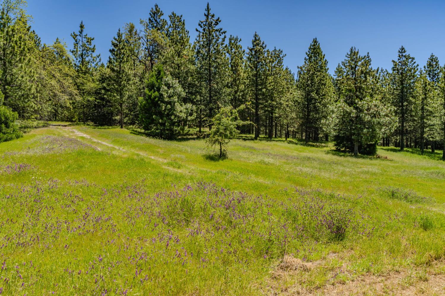 25755 State Highway 88
