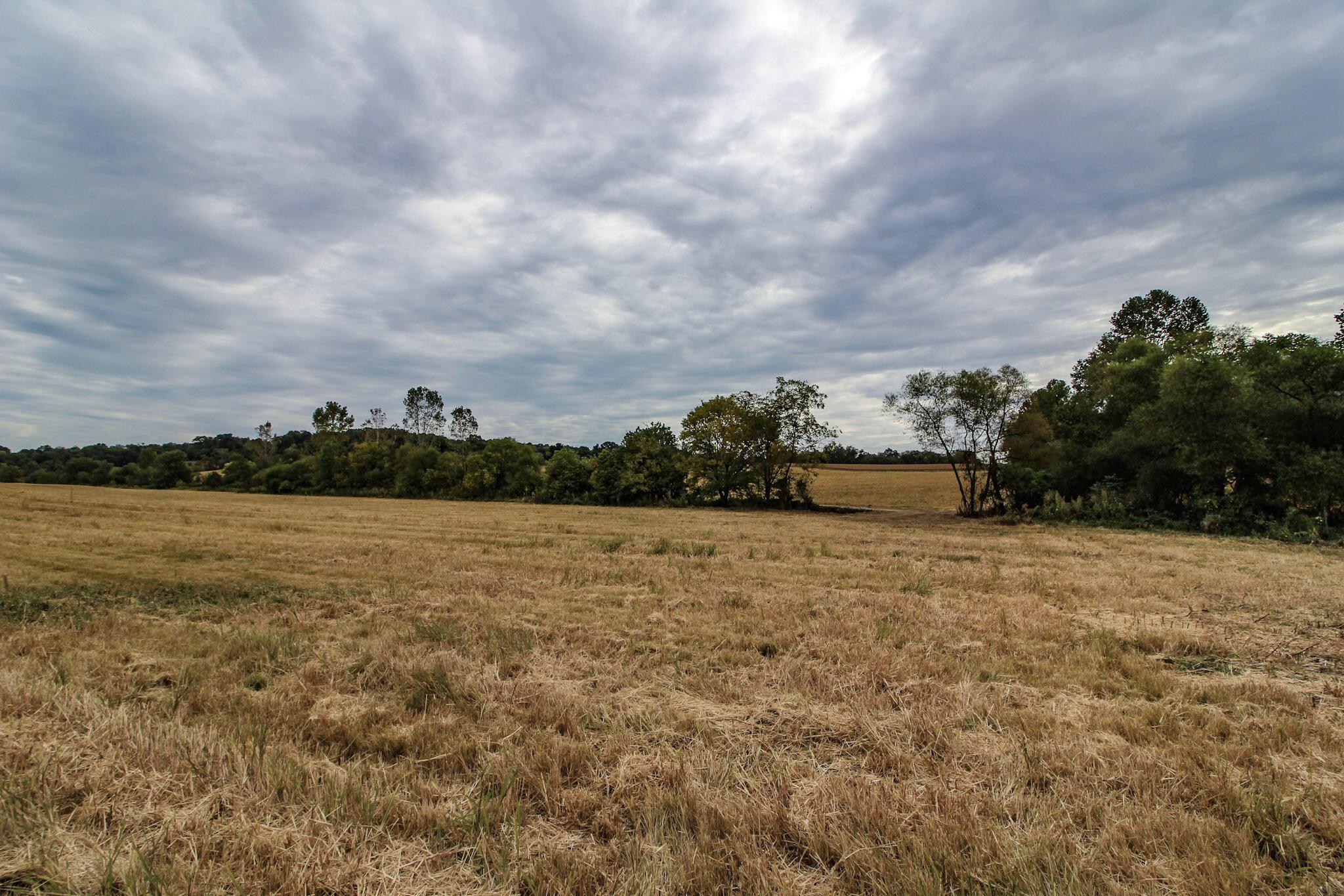 Lot 5 Gratiot Road