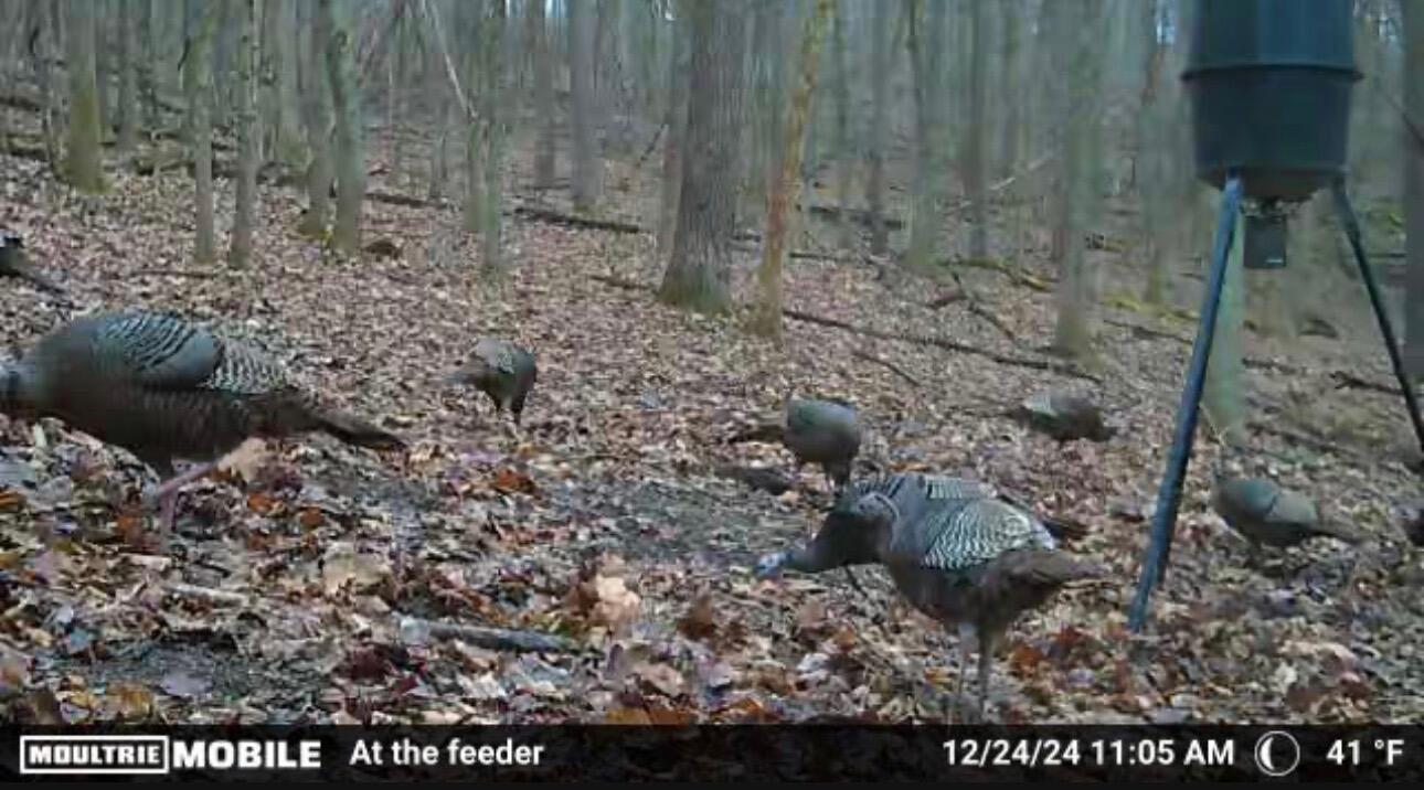 34278 Township Road 373