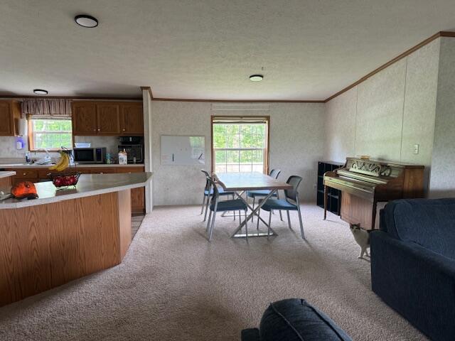 34278 Township Road 373