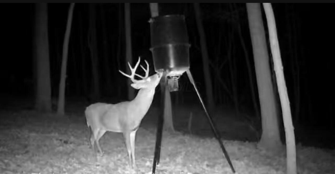 34278 Township Road 373