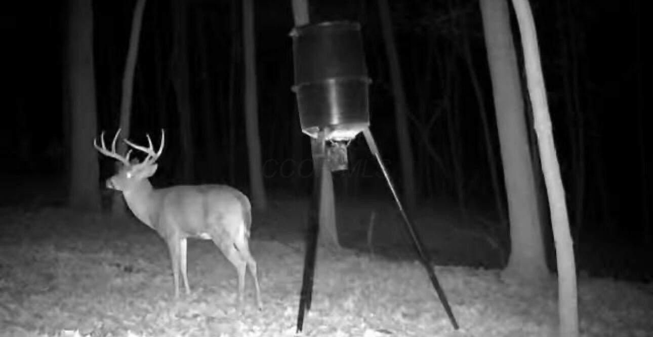 34278 Township Road 373