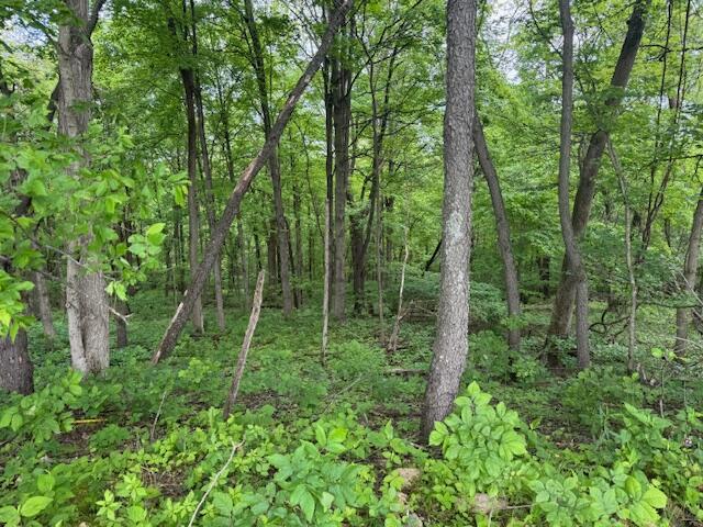 34278 Township Road 373