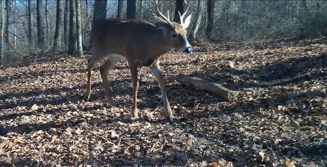 34278 Township Road 373