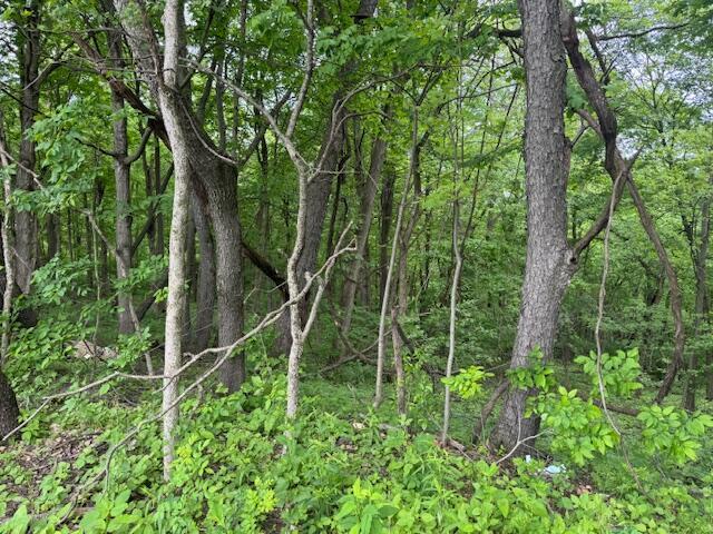 34278 Township Road 373