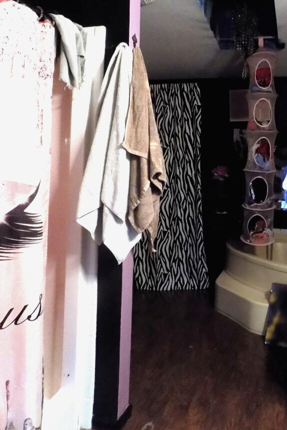 225 Pleasant Lee Drive